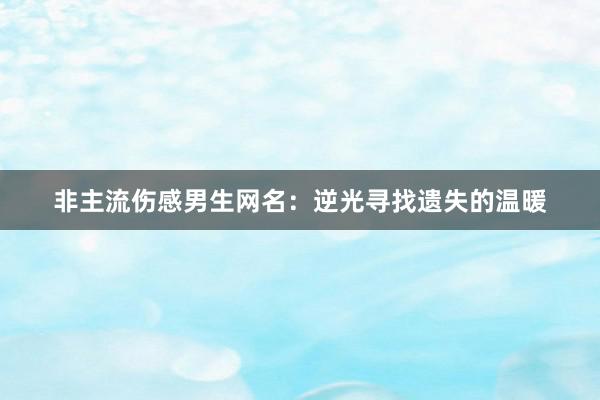 非主流伤感男生网名：逆光寻找遗失的温暖